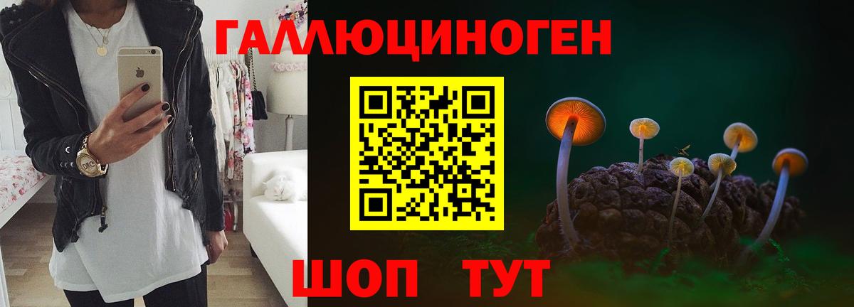 цены наркотик  Вход с VPN  Минусинск  Галлюциногенные грибы Cubensis 
